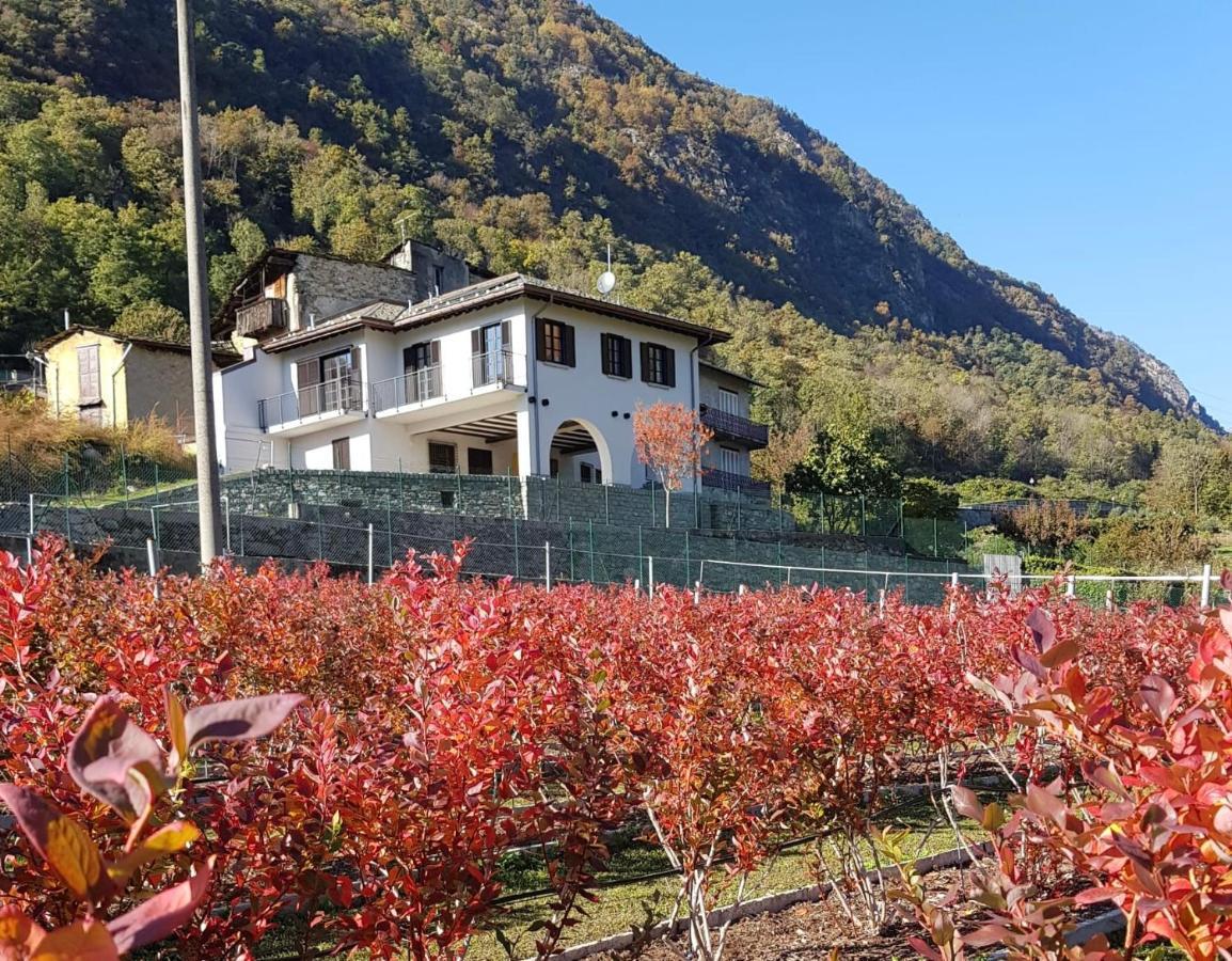 Guest House Le Cassandre Sondrio Ngoại thất bức ảnh